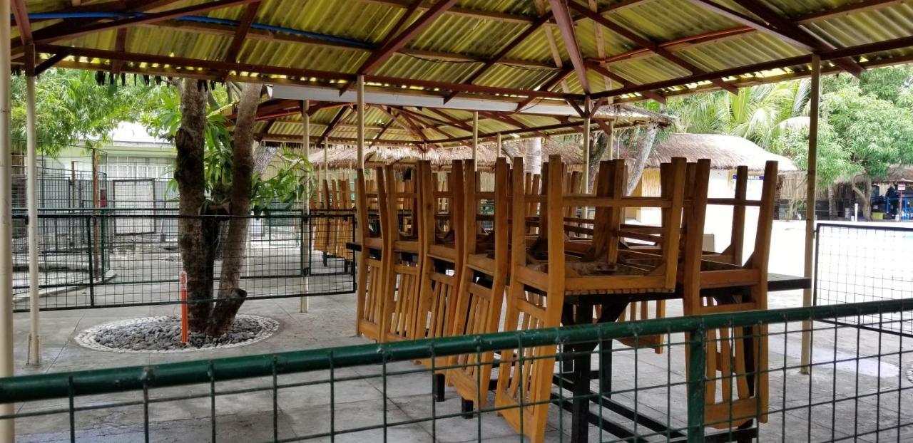 Buenavista Family Inn Tagudin Exterior photo